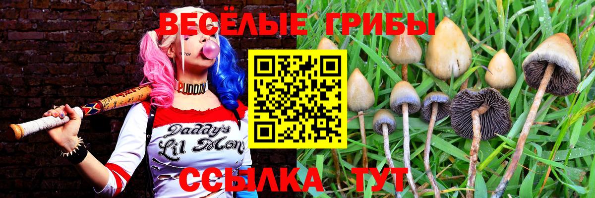 Великий Новгород  Псилоцибиновые грибы мухоморы  Вход с VPN 