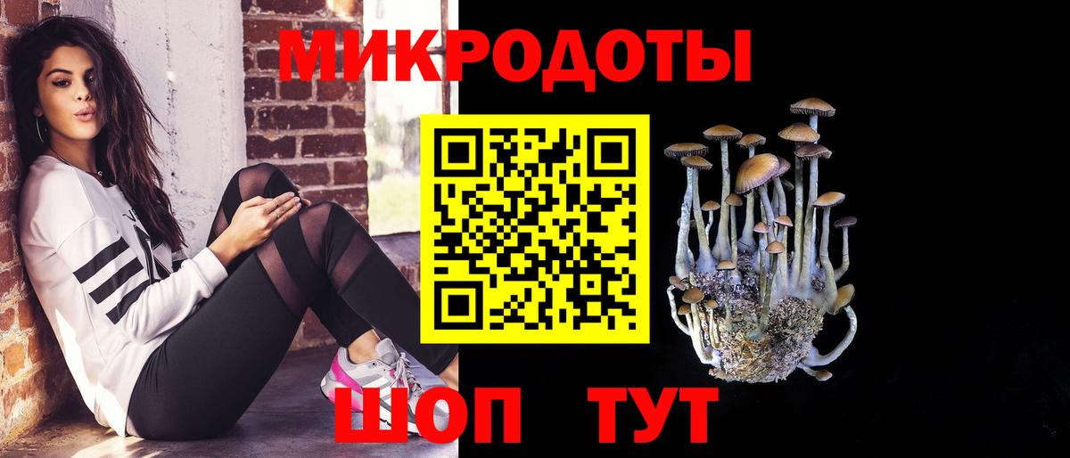 Псилоцибиновые грибы Psilocybine cubensis Великий Новгород