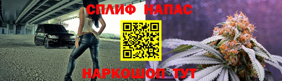 Шишки марихуана марихуана Великий Новгород